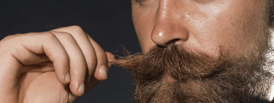 Moustache Wax: How to Choose and Apply It