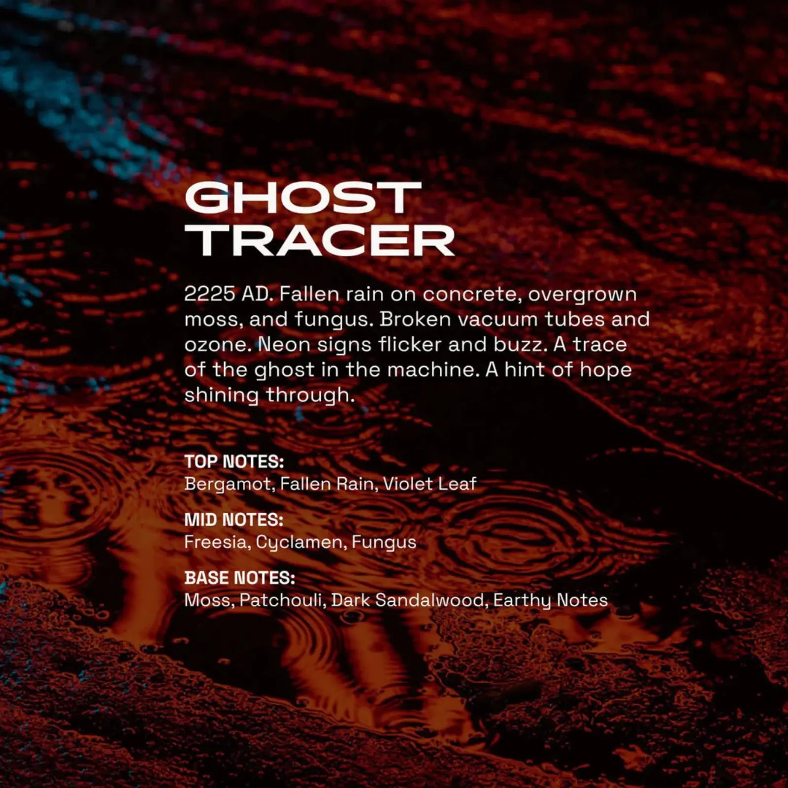 Beardbrand Ghost Tracer Eau de Parfum 20ml