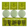 Geo. F. Trumper Wild Fern Hand Soap Pack 75g (3)
